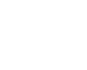 The Steel City Boneshakers